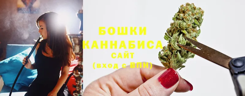 наркота  Кузнецк  Канабис OG Kush 